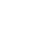 IRIS Connect Logo in white, with no background